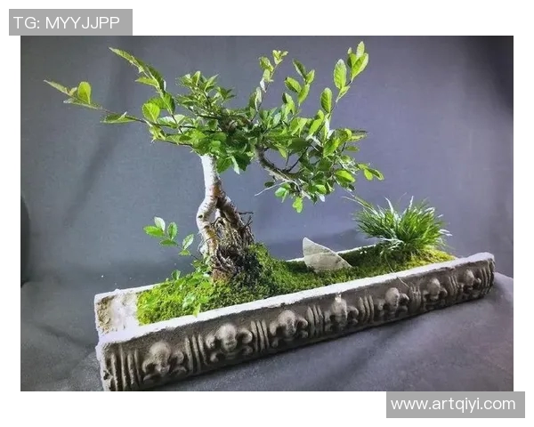 盆栽艺术：在有限空间中创造自然美感与生活的和谐氛围